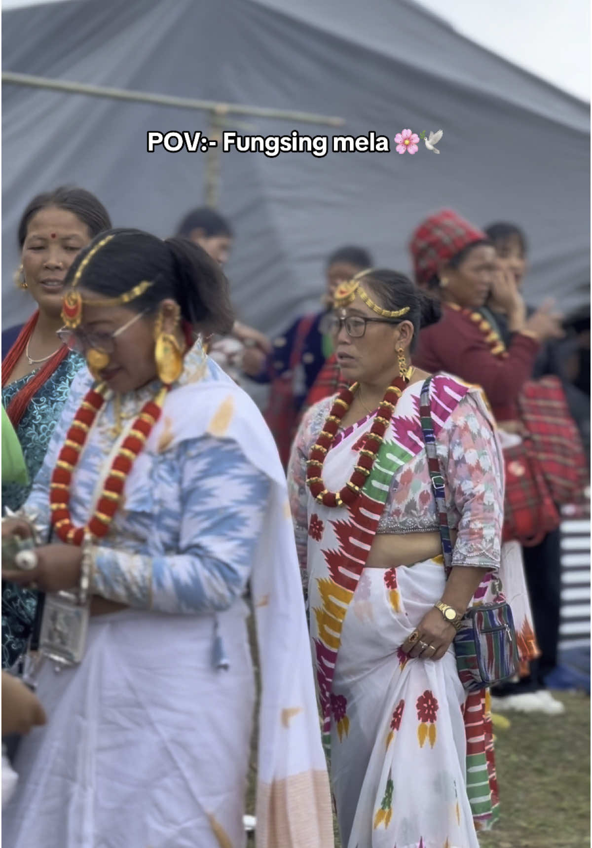 2082 Mela 🕊️☮️#fungsingmela #panchther #fypシ #pancthermuser🦋❤ @Binayak Rasaili @ridambishwa 