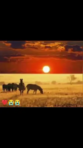 #foryoupage @Tiktok_Followers