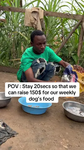 #dog#donation #dogsoftiktok#puppyrescue# doglovers #vegan#gofundmehelp#care #petlovers#puppiesoftiktok#urgenthelp#photography#animls#animallovers#wildlife# animalsoftiktok#🆘🆘🆘🆘## animalrescueusa #donations  #TikTok USA #Uk# Germany  #puppylove #petlover #dogsoftiktok #nature