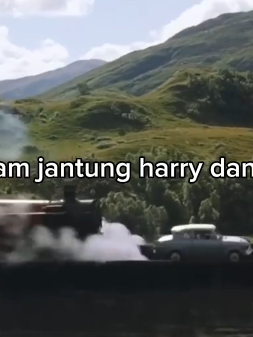 dua lelaki pemberani😊💪 #harrypottermovies #harrypotter #hogwarts #ronweasley #flyingcar #hogwarts 
