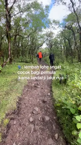 landai bnget #lembahlohe #fyp 