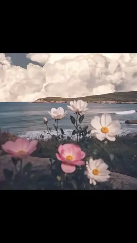Kifayat se usy kharch kron🫀🥹🫶🏻INSTA ~ saim_estixcs #viral #video #grow #account #foryoupage #foryourpage #poetry #urdupoetry #1millionaudition  #aesthetic   #saim_estixcs  #urdushayari 