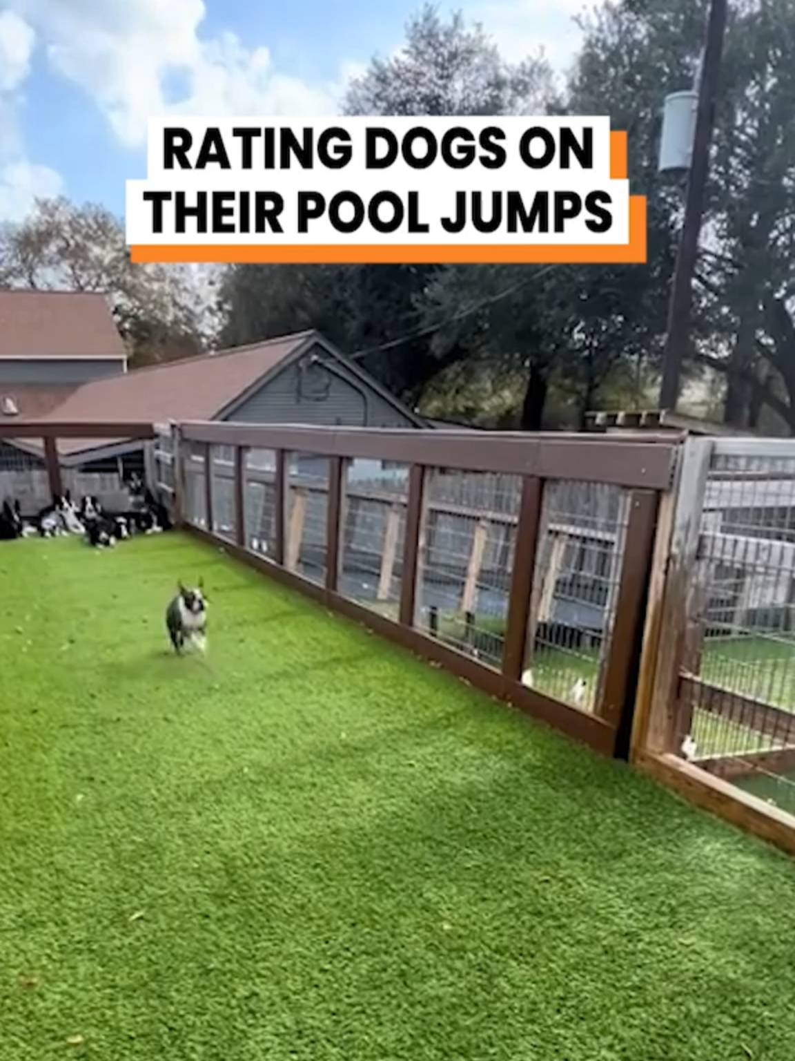Leave your ratings below 👇 (@sostarbcs) #funnyanimals #fyp #funnytiktok #talkinganimals #fetch #voiceover #dogs #animalsoftiktok #original #talkingdog #funnydogs #dogsoftiktok