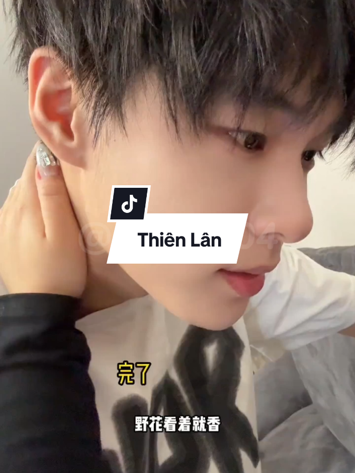 Trả lời @teddyyyy76 #thienlan #cthv2004 #douyin #抖音 #fyp #viral #xuhuong 