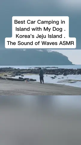 Best Car Camping in Island with My Dog . Korea's Jeju Island . The Sound of Waves ASMR#camping #campinglife 
