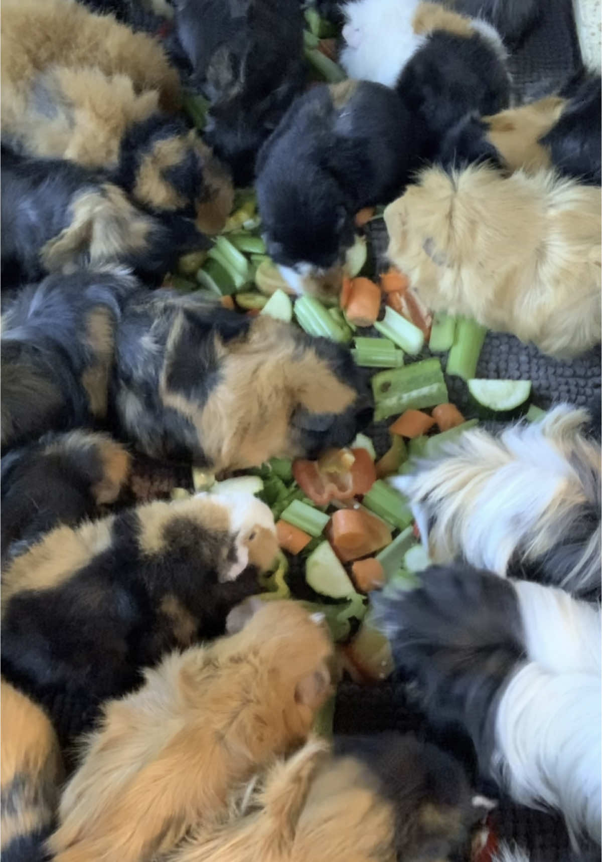 A banquet 