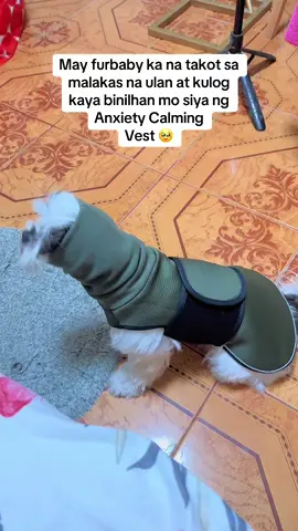 Must have! Lalo na kung takot din yung mga dogs niyo🥰#anxietyvest #antianxiety #earcoverfordogs #dogearmuffs #antianxietywrap #dogsoftiktok #fyp #foryou 