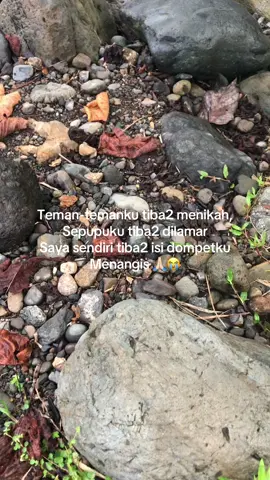 Sessa Jki😭#fyp #fyppppppppppppppppppppppp #viraltiktok 
