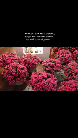 #любовь #цветы