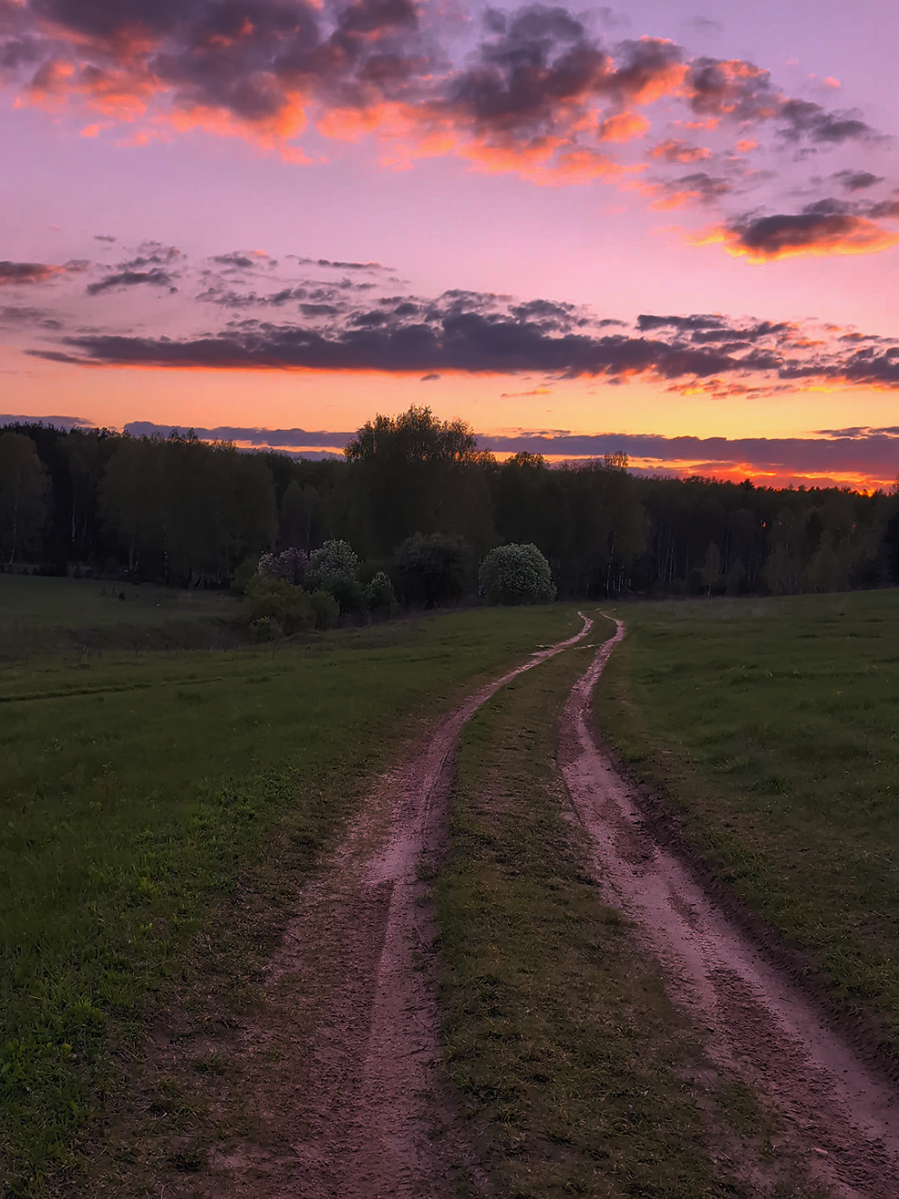 #tvgirl #tvgirlnotallowed #природа #nature #весна #май #spring #красивоевидео 
