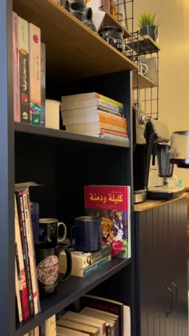 Tuesday mini vlog  ✨✨ #dailyvlog #mydailylife  #catslife #روتيني_اليومي #creatorsearchinsights 