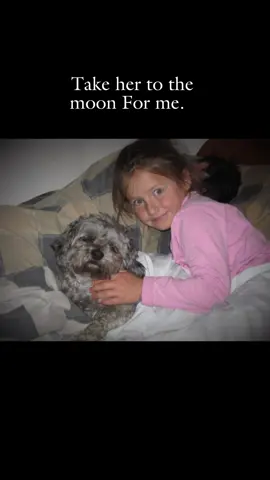We miss you Bailey so much 💙Tigger is a good happy boy just like you! love doesn’t end it just multiples, We will love you forever Bailey boy🐾 #CapCut #childhooddog #dogs #puppy #petloss #lovemyanimals #fyp #foryoupage #canada #newbrunswick #animals 