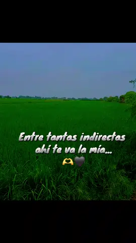 aaay amoor, aaay amor 🤭❤️#SegundoRosero #AyAmor #estados #fyp 
