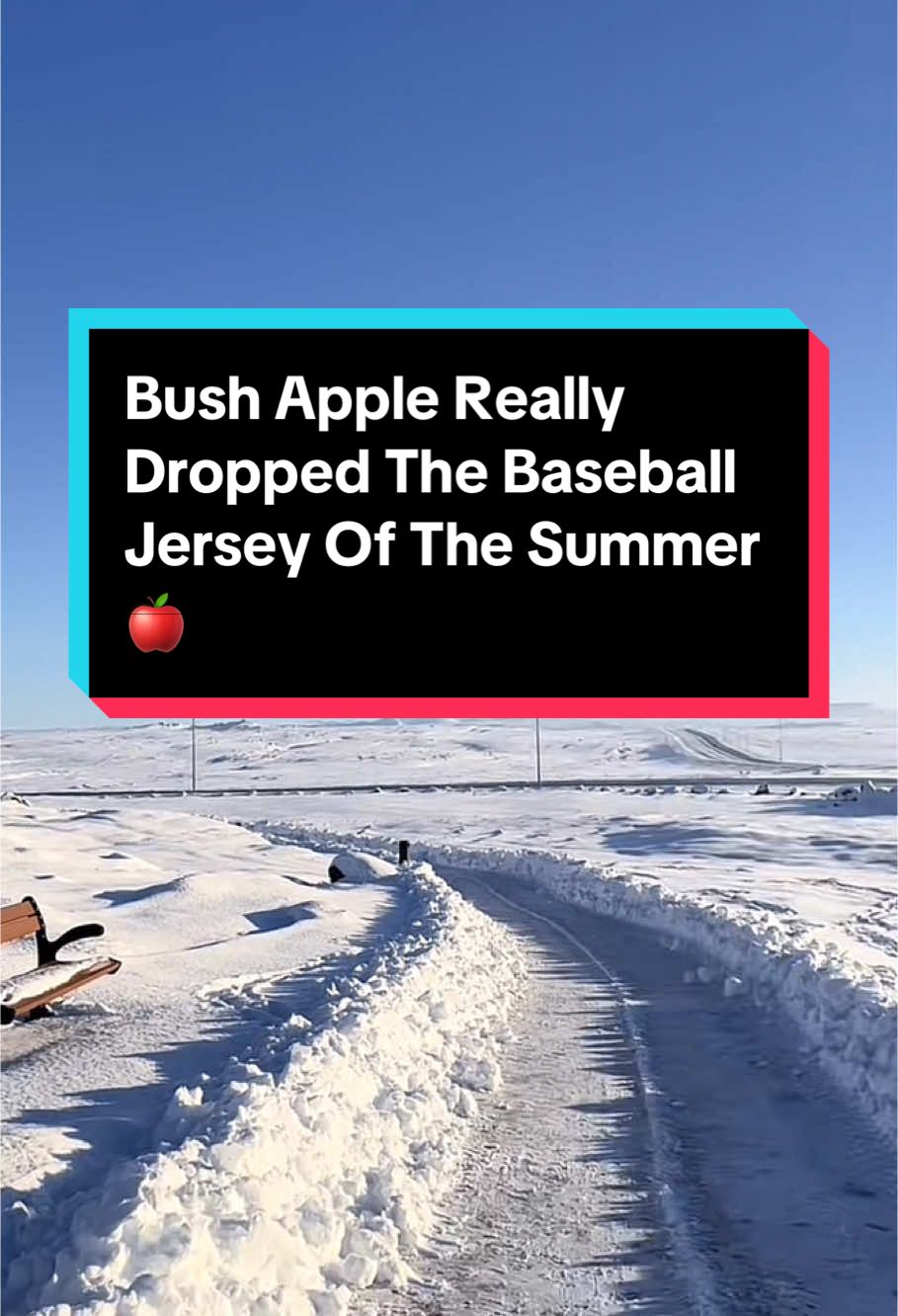 If you like Busch Light Apple 🍎, You Need This Baseball Jersey 🍻 #buschapple #buschlight #coolshirt #baseballjersey #summervibes #summershirt #summerbreak #graphictees #drinking #fy #beerloves 