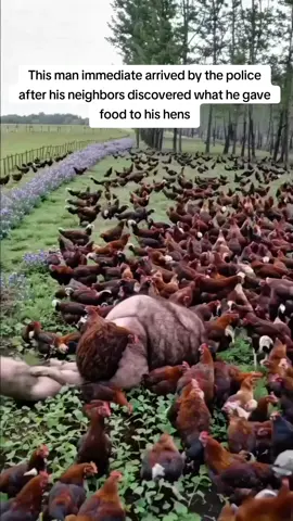 This man was immediately arrested by the police after his neighbors discovered what he was feeding his chickens. #truestory #LearnOnTikTok #farm #agriculture #farmer #police #chicken 