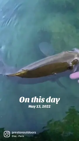 #onthisday 