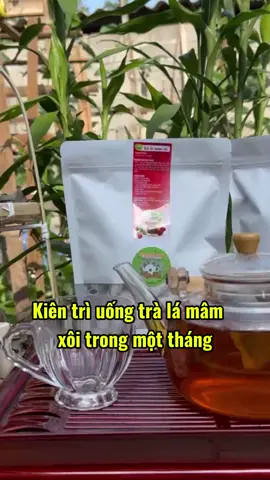 Kiên trì uống trà lá mâm xôi trong một tháng ,lợi ích bất ngờ sẽ tự tìm đến bạn #tiemtratriky #tramamxoi #tralamamxoirung #xuhuong #xuhuongtiktok #mamxoi #mamxoirung