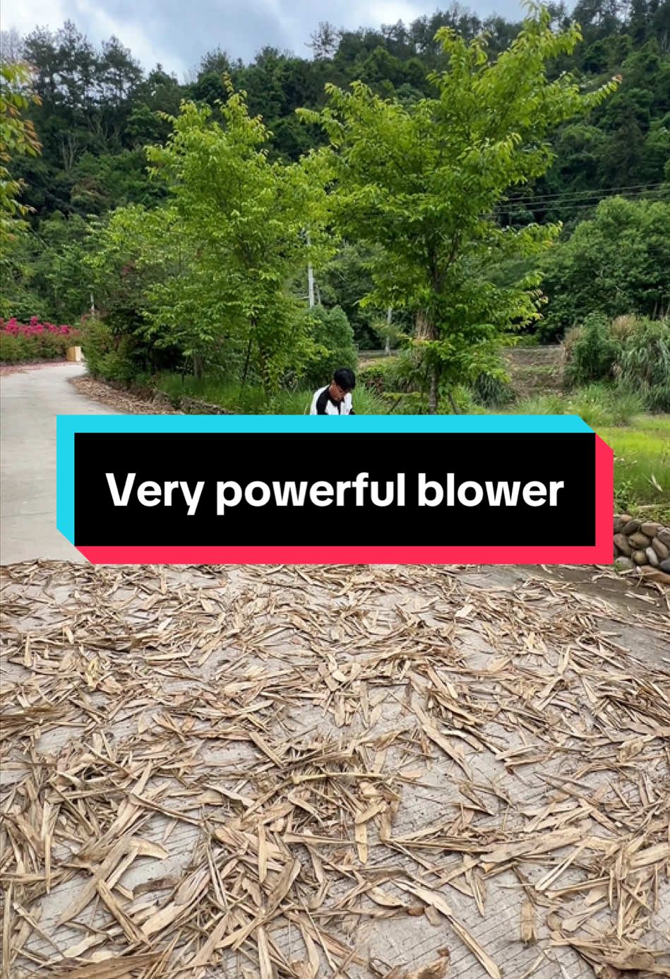 Why are all the comments of people gatekeeping tools 🤦 this is just another one to make life easier, it's not a contest.#tiktokshopspringglowup #springtok #jetblower #turbodryercar #carblower #blower #turbodry #cardry #drycar #cardetail #cardetailing #airblower #blower #leafblower #jetdry #miniblower #carsoftiktok #jetfly #cartok #caraccessories #cargadgets #caressentials