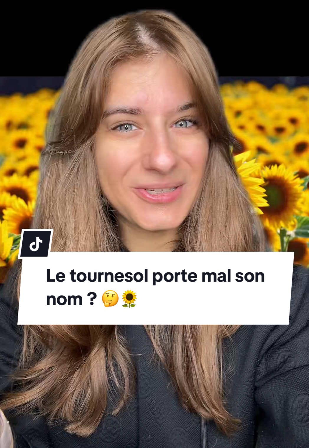 Le tournesol porte mal son nom ? 🤔🌻  #apprendresurtiktok 