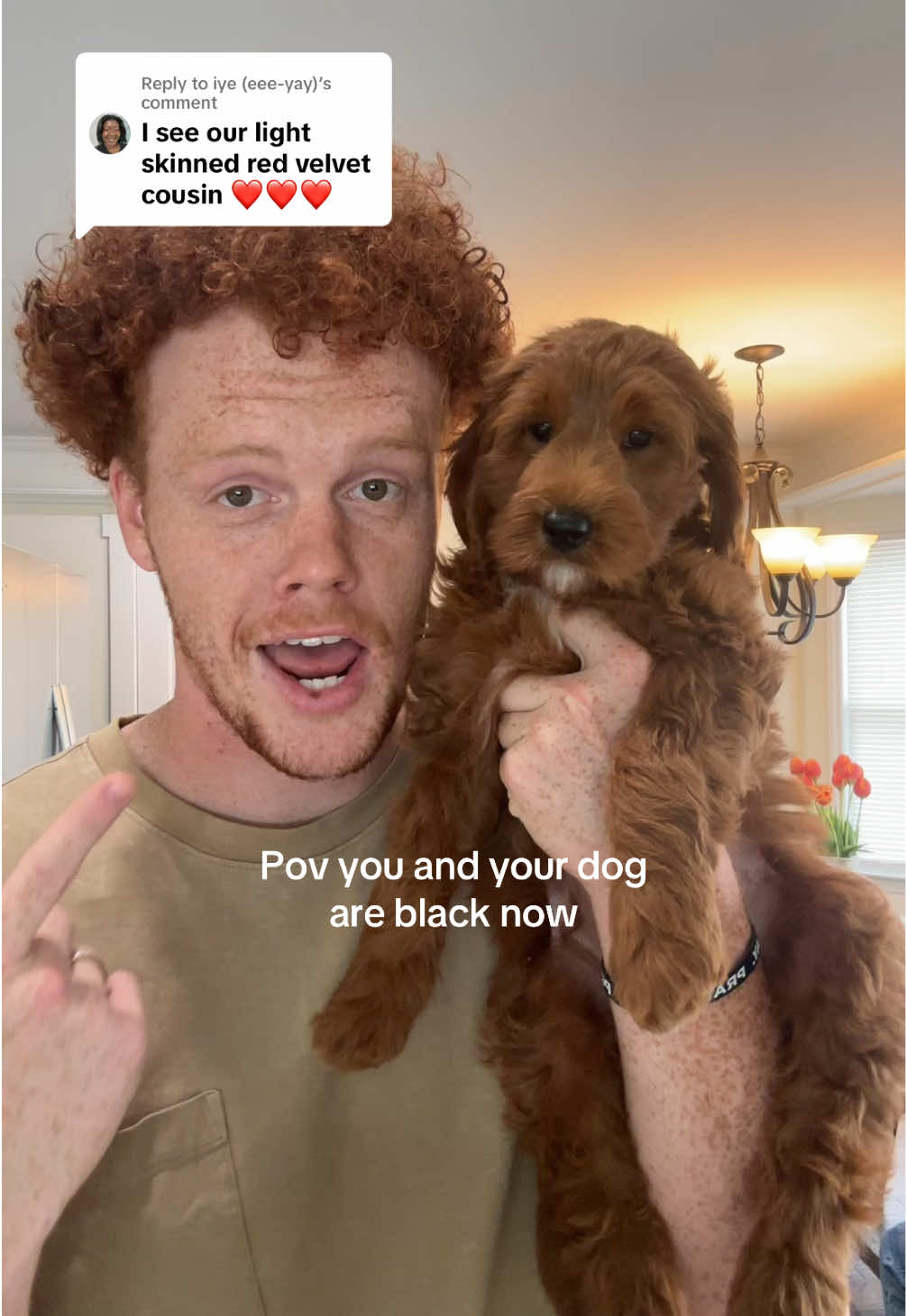 Replying to @iye (eee-yay) Joined the family! #ginger #gingersareblack #redhair