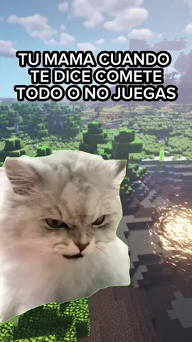MINECRAFT MEMES 🤣#risas #risa #Terror #paratiiiiiiiiiiiiiiiiiiiiiiiiiiiiiii #texturas #minecrafter #bedrock #Minecraft 