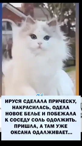 #юмор🤣🤣🤣 