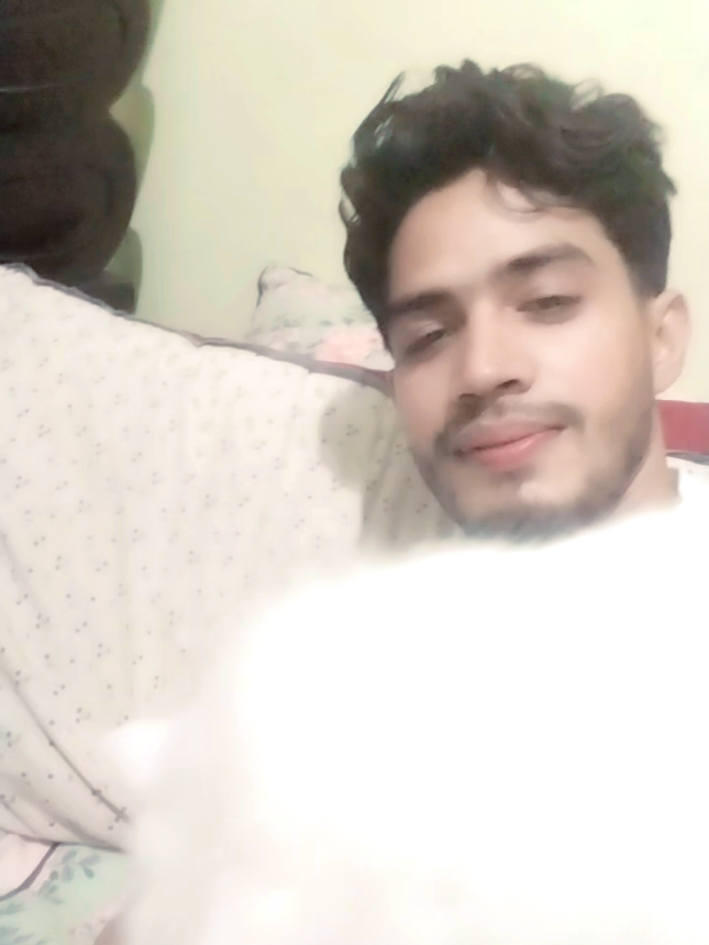 বিড়াল 🎀😘 #Brahmanbaria #пашатехник #foryoupage #foryoupage #minecraftmovie #foryoupage❤️❤️ 
