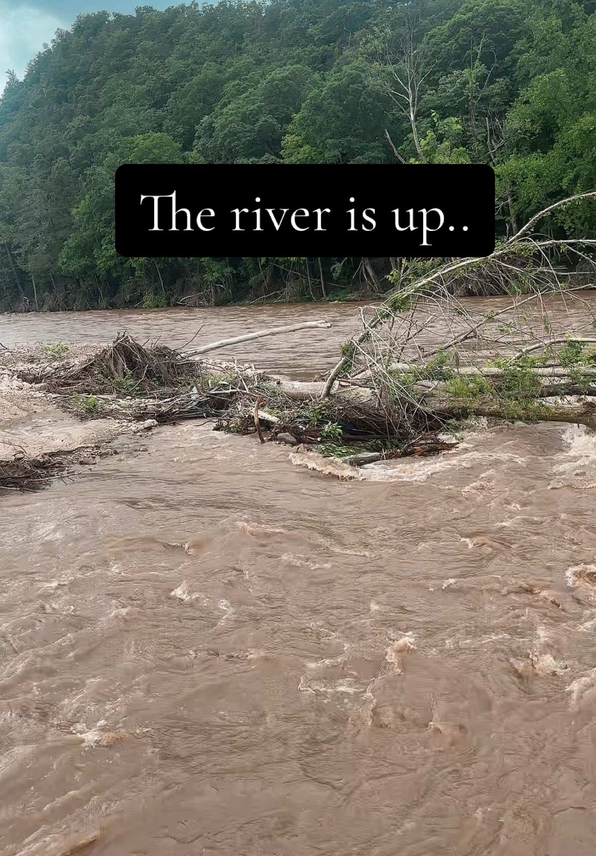 The Berm is still doing its job thank goodness! But we do have some high waters today #Youngfarms #flood #hurricane #hurricanehelene #appalachianmountains #appalachianhurricane #naturaldisaster #recovering #DIY #fthegovernment #cleanup #floodberm #FYP #viral #educational 
