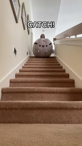 Did you catch it? #pusheen #plush #plushies #kawaii #cute #cat #kitty #kitten #squish #squishmallows #squishy #big #huge #large 