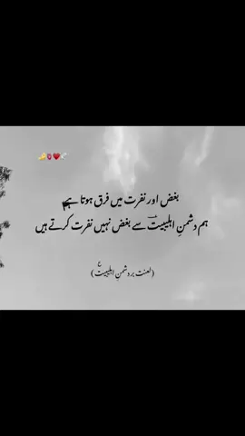 #yaallah🤲 #yamuhammdص❣️ #yaaliع #yafatimazahraص #yahassanع #yahussainع #viral #fypシ゚ #foryoupage #followback❤ #illu #illutration 