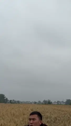 7238899190225554722大意了