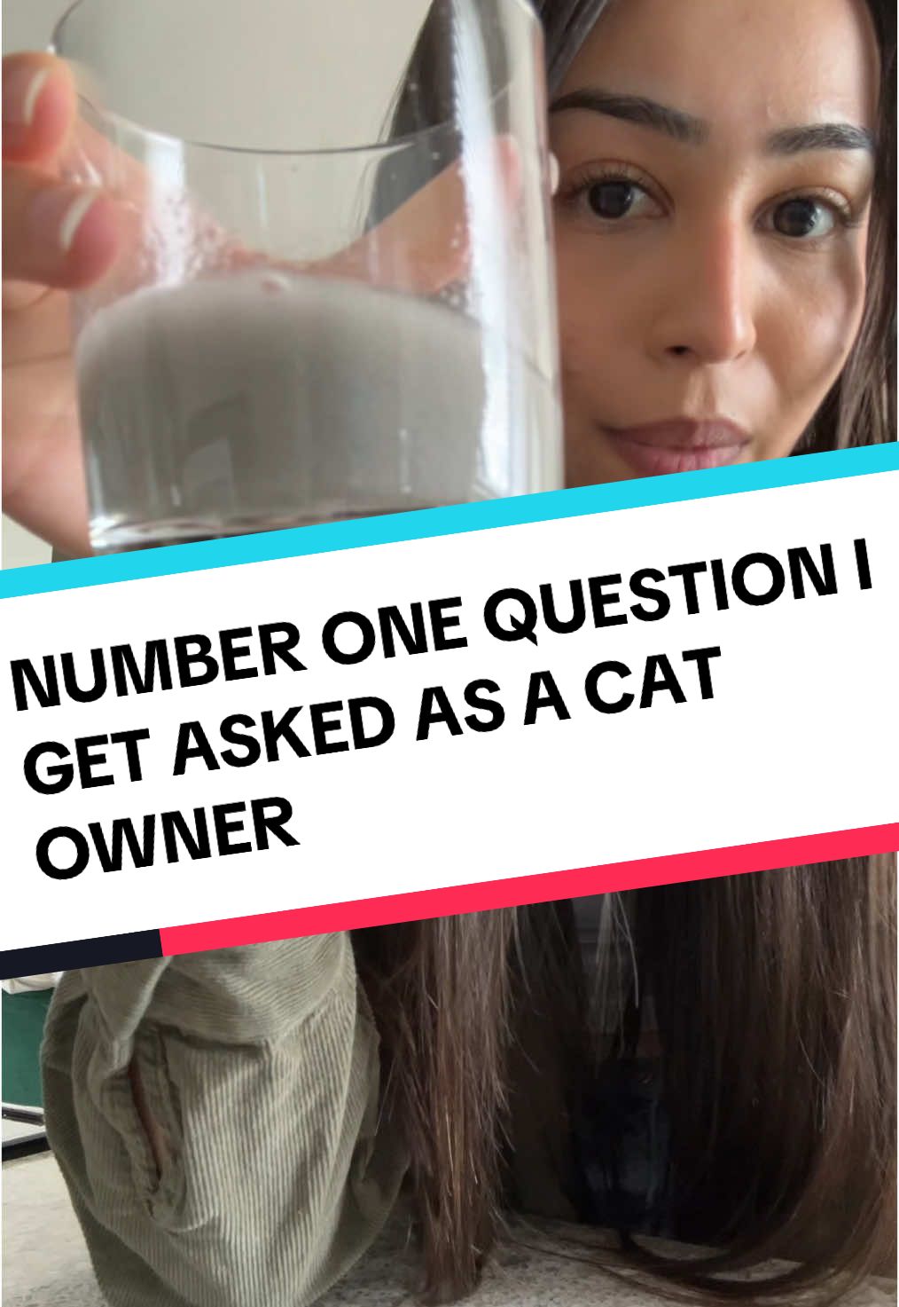 Have you tried this litter or tofu litter?  #catlitter #tofucatlitter #dustfreecatlitter #healthycatlitter #catsupplies 