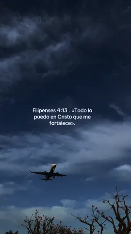 #catolico #videos #jesus #editor #Dios #edit #Diosesamor #jesusteama 