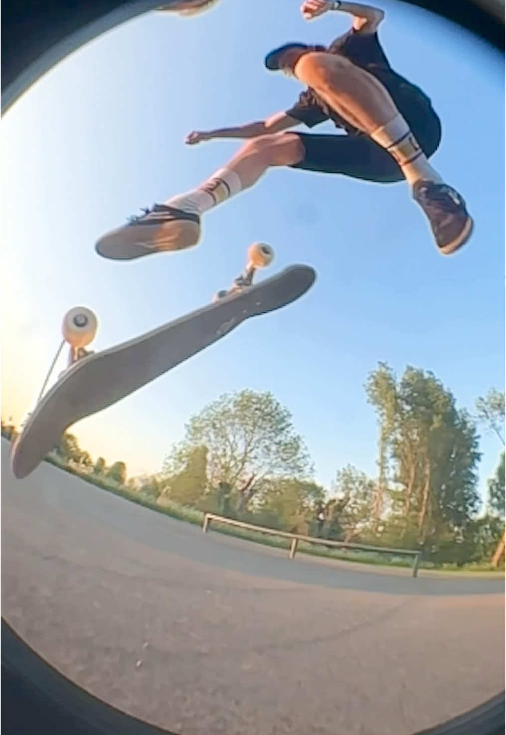 Bat! 🦇 #skate #Skateboarding