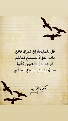 #أبيات_من_الشعر #أدب_عربي #تيك_توك 