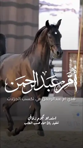 شيلة باسم ان عبدالرحمن 2025 شيلة مدح ام عبدالرحمن #استديو_نجوم_زفافي #لطلب_الشيلات_0505336824 #السعودية #الكويت #قطر  #تصميم_فيديوهات🎶🎤🎬تصميمي🔥 #تصميم_اسماء_حسب_الطلب #شيلة_باسم_ام_عبدالرحمن #شيلة_ام_عبدالرحمن #ام_عبدالرحمن 