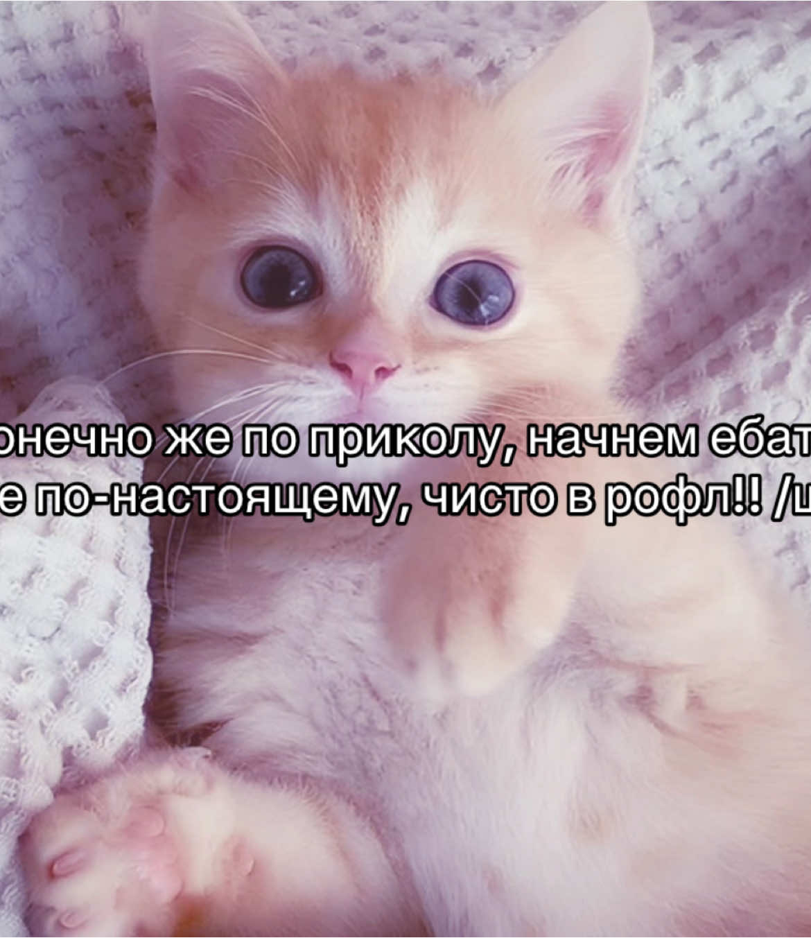 (Нет) #рекомендации #реки #рек #пубертат #щп #щитпост #пубертатныйтикток #пубертатнекогонещадит #teamwork #ночнойактив 