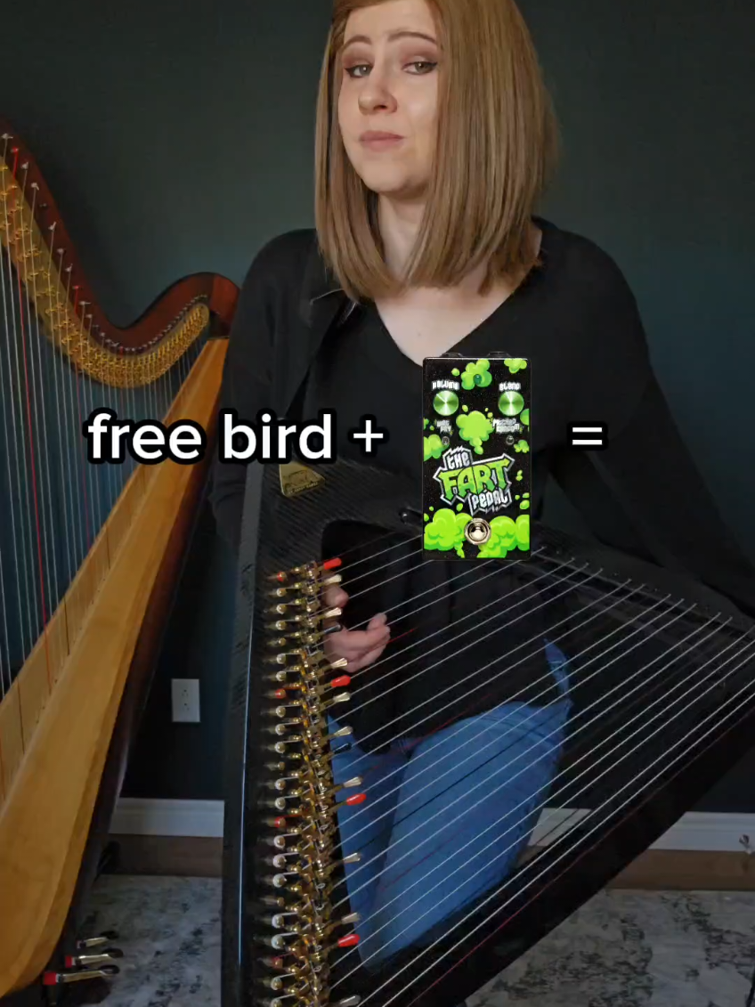 I had to try 😂 Featuring The Fart Pedal Number 2 @TheFartPedal  🦅💨 #harptok #ELECTRICharptok #thefartpedal #freebird #lynyrdskynyrd #solo #guitar 