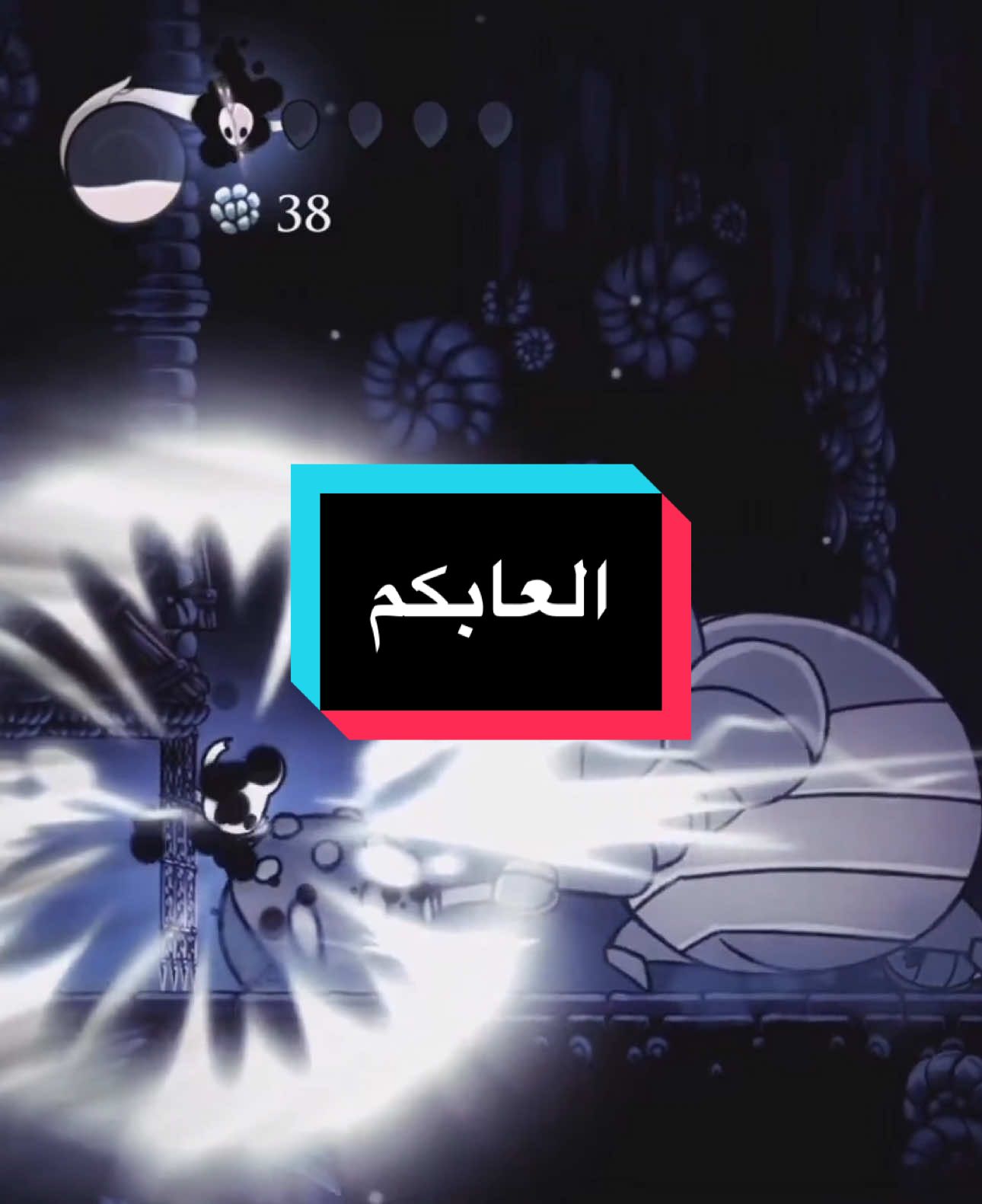 المقطع كامل في البرنامج الأحمر 🫡 #SHHE 