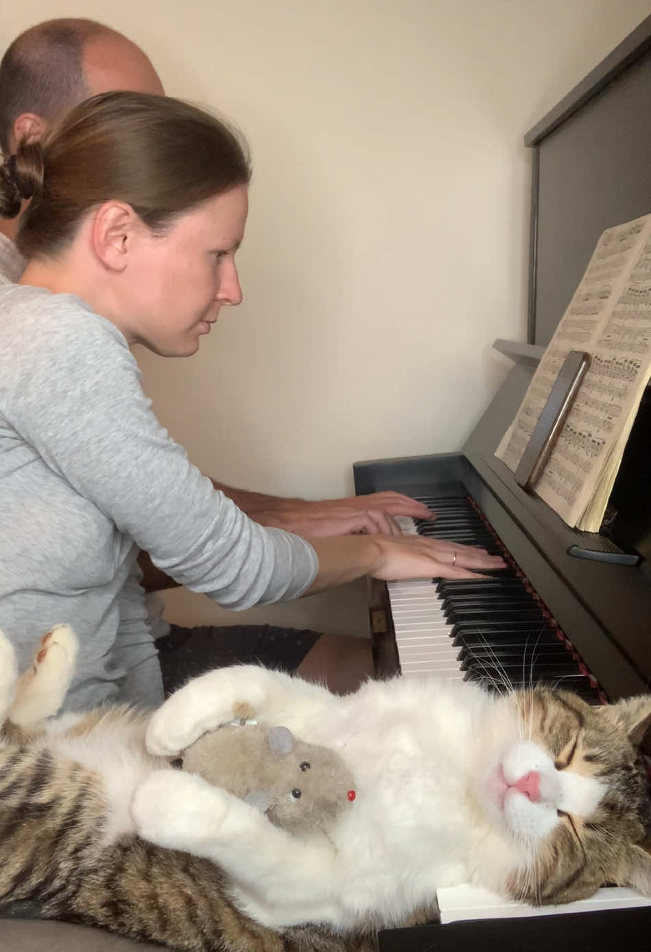 Zlatko the pink-nose Panther  ➡️ BUY ZLATKO A MEAL AND GET TAGGED: 🔗 PayPal and Revolut links in bio! @pianists_mariana.dimcho  @runners_dimcho.mariana  #pianopractice #practice #concertpianist #classicalpianist #pianist #pianistsofinstagram #pianistlife #pianists #pianistofinstagram #musik #music #musician #klavier #klavierspielen #klaviermusik #klavierlernen #zuhause #Home #homesweethome #catlover #catlife #catlovers #cats #cats_of_world #catvideos #catvideo #pinkpanther #thepinkpanther #henrymancini #henrymancinipinkpanther 