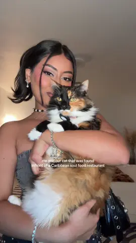 Whoever left her shes ours now #desigirl #cattiktok #browngirl 