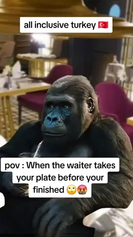 #Meme #MemeCut #CapCut #fyp #foryoupage #everyone 