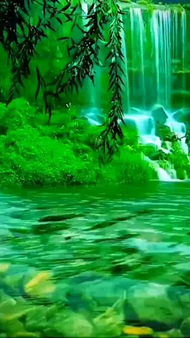 ##capcut #ربنامش هيبارك ابدافي النفوس الخبيثه يمهل ولايهمل ان الله علي كل شيء قدير#يارب❤️ #دعاء_جميل #capcut 