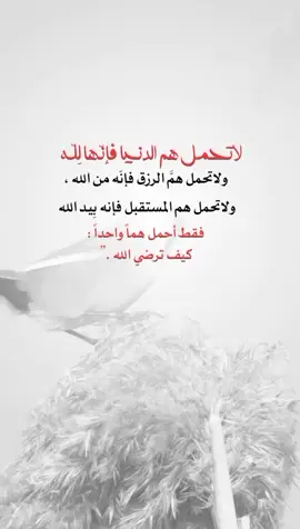 لا تحمل هم الدنيا فإنهالله#fypシ゚viralシ #اكسبلورexplore #اعادة_النشر🔃 