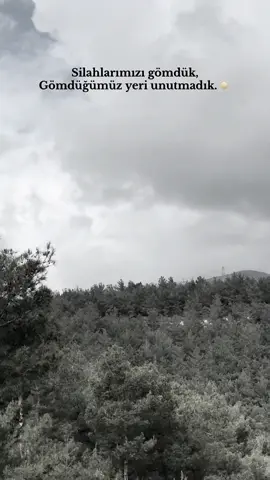 ew kesên ku dîrok bi xwîna xwe nekişandin û jîyanekî azad para me kurda kirin em ji bîrnakin. Her dêm emê partîya xwe, serokê xwe, şehîdê xwe biparêzin.bîjî partîya me.☀️#21 #amed #serok #birezdariûhûrmet #barış #şehîdnamirin #şehîdrûmetin #partîyame 