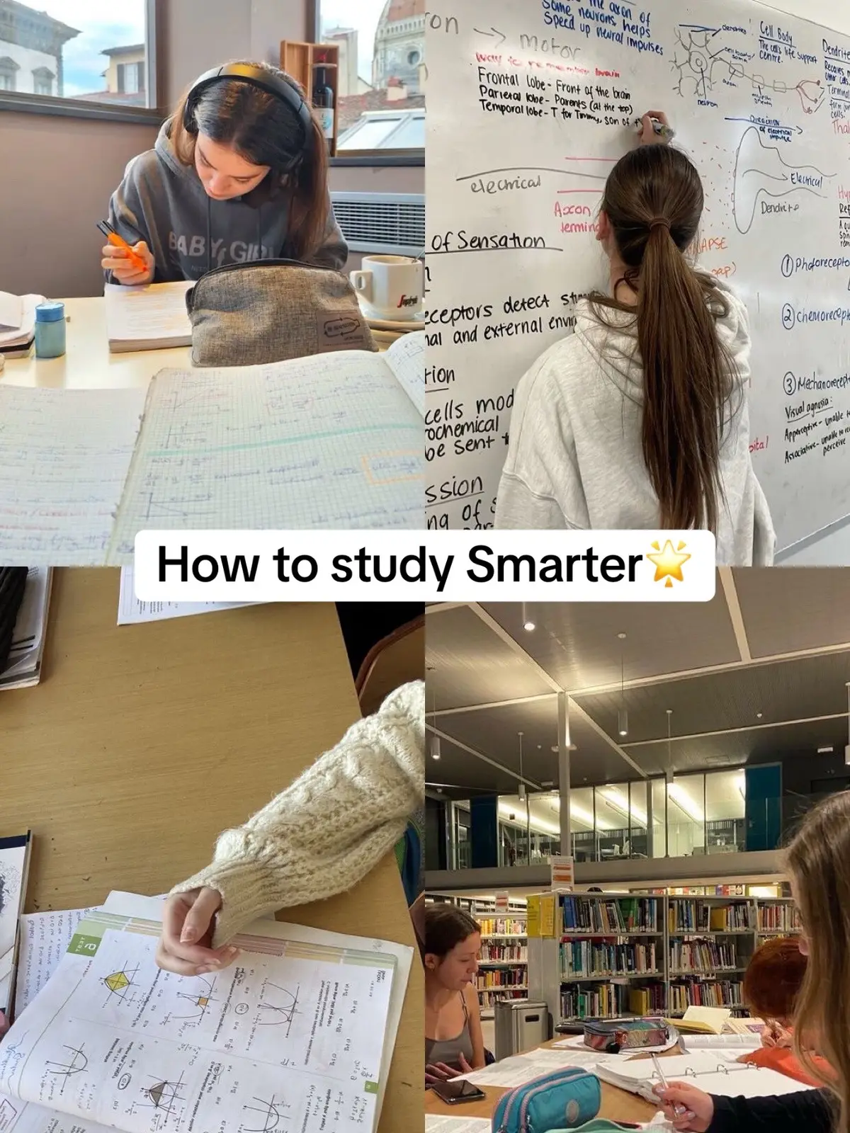 #studyhacks #studytok #student #university #books #studymotivation #study #studymethod #beststudytips #college #academiccomeback #turbolearnai #foryou 
