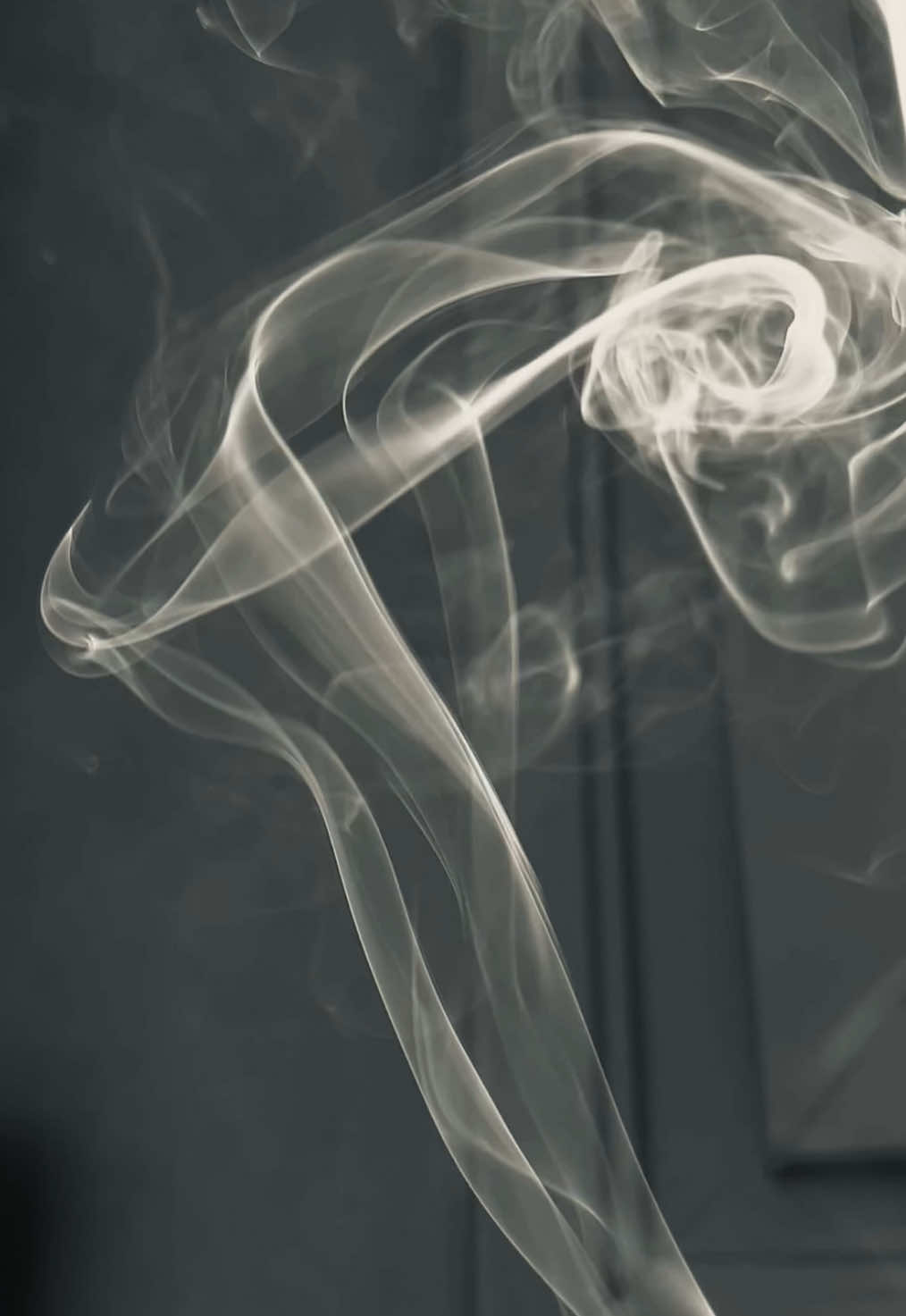 😶‍🌫️ / quality got ruined :( #fyp #real #aesthetic #smokey #videoviral #photography #incense 