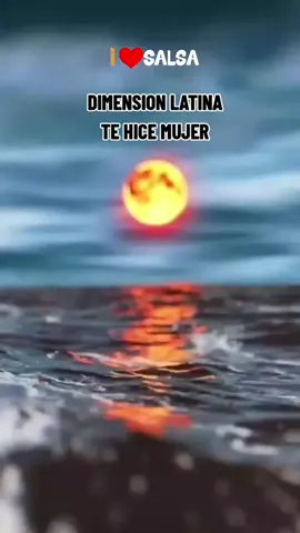#viraltiktokvideo #videoviral #salseros #salsa #salsaromantica #salsabaul #salsaparaestados #salsaparadedicar #salsadance #salsachallenge #salsadura #salserosdeverdad #salserosdecorazon #salserosporelmundo #peruanosenelmundo 
