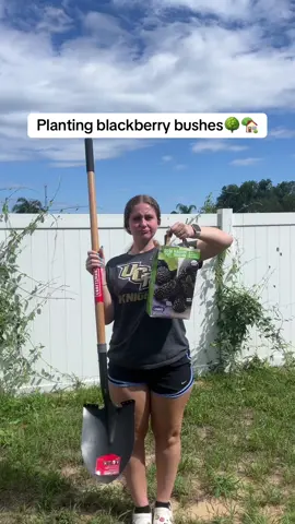Hard working woman! If anyone has tips for helping a blackberry tree grow, please share! 😌🌳 #blackberries #gardening #gardentok #DIY #homeimprovement 