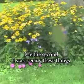 #Real #migraine #30minutes #fyppp #viral #blowup? #migrainevisual #migraineaura 